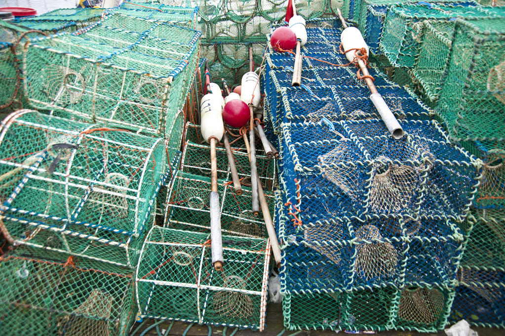 Lobster Traps